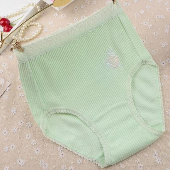 Plus size Lolita Kawaii Cotton high rise Panties. In 5 pale Robin Egg colours - Picture 9 of 10